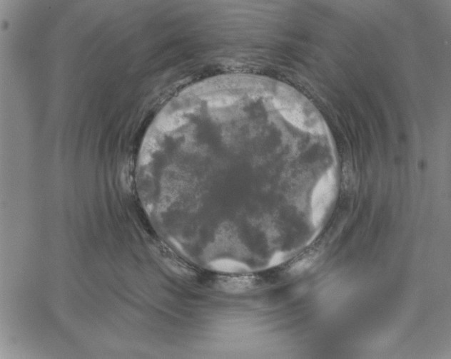 X0000066970671200604211908