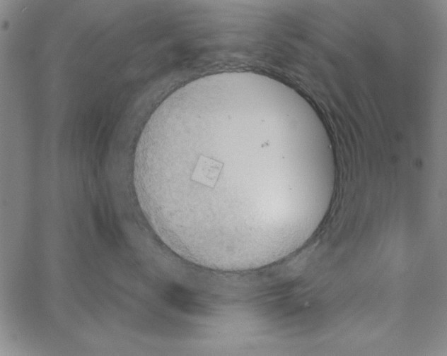 X0000066970672200604211908