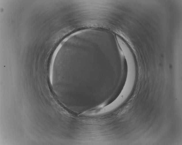 X0000066970673200604211907