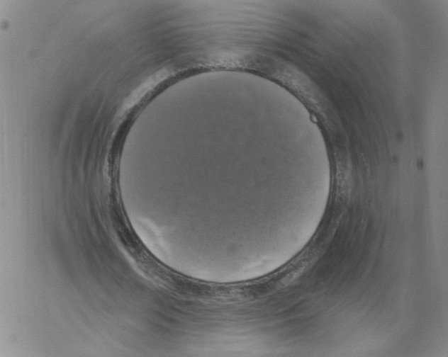 X0000066970674200604211907