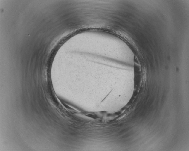 X0000066970676200604211907