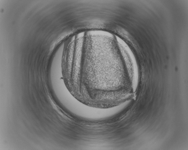 X0000066970677200604211907