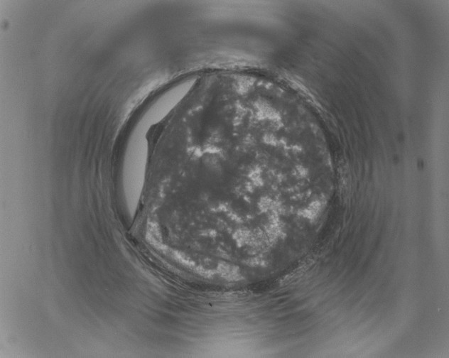 X0000066970679200604211907