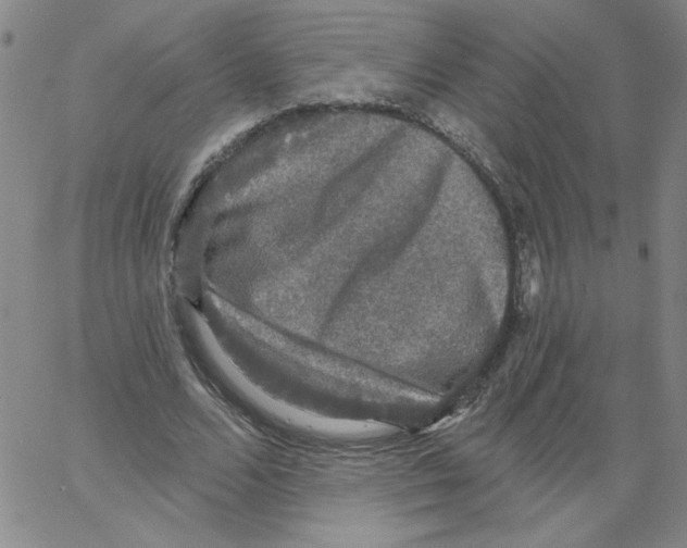 X0000066970680200604211907