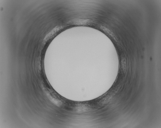 X0000066970682200604211907