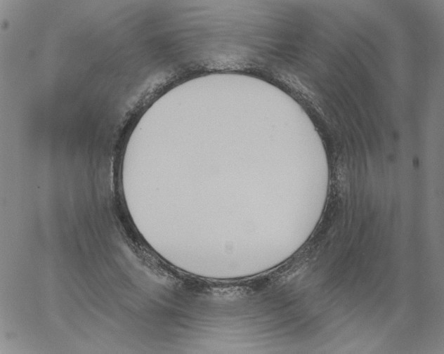 X0000066970686200604211907