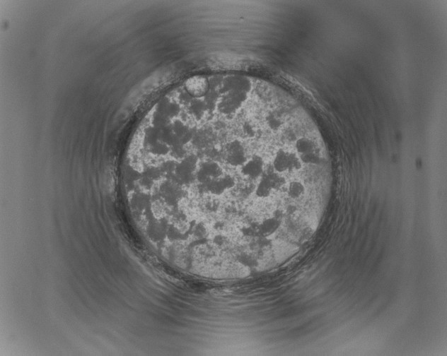 X0000066970687200604211907