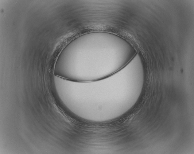 X0000066970688200604211907