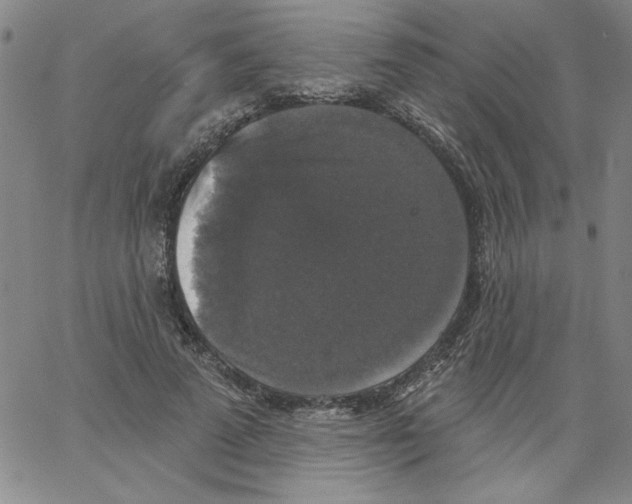 X0000066970689200604211907