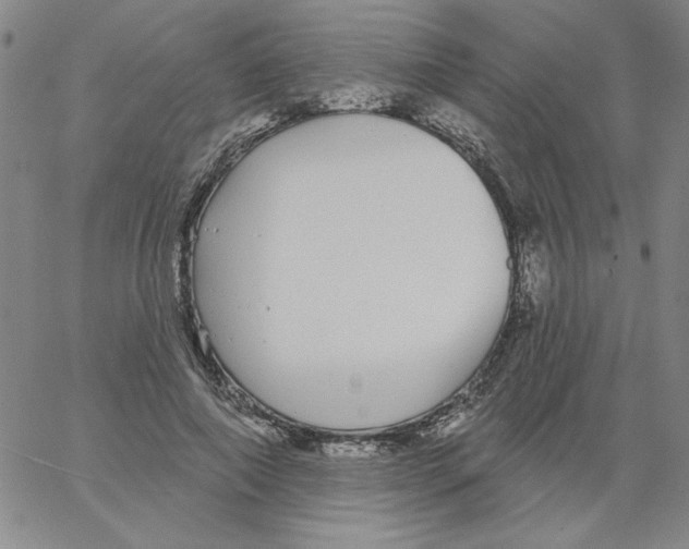 X0000066970690200604211907