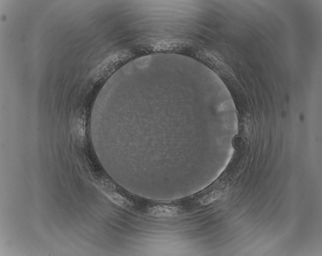 X0000066970691200604211907