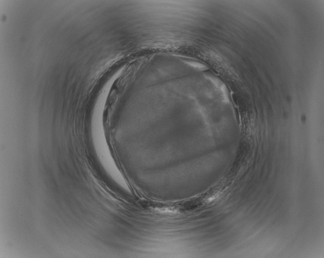 X0000066970692200604211907