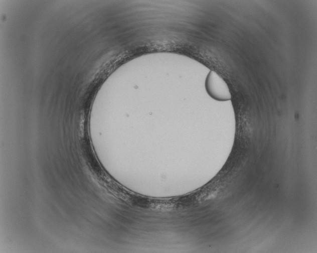 X0000066970694200604211907