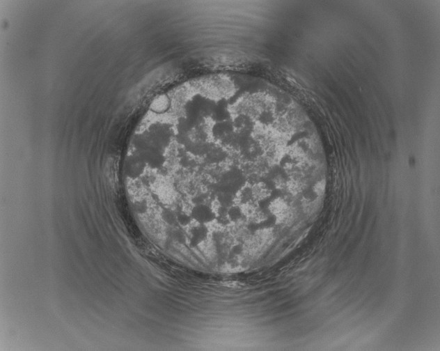 X0000066970695200604211907