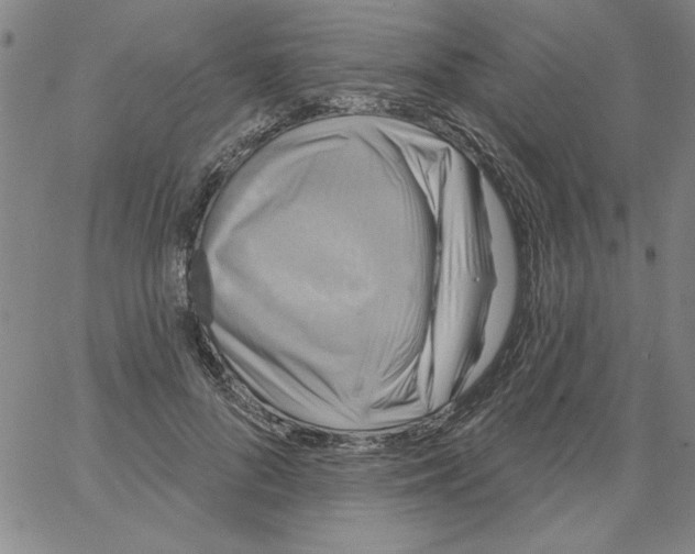 X0000066970696200604211907