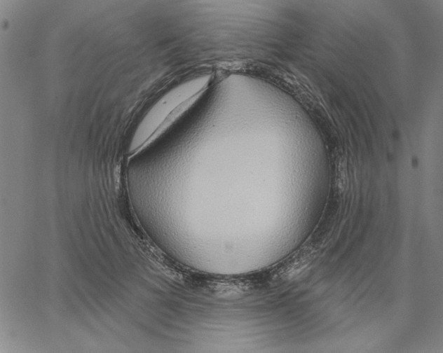 X0000066970697200604211907