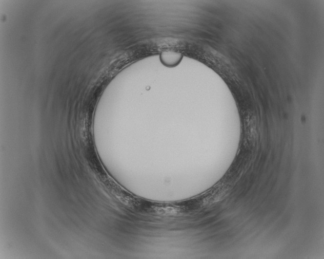 X0000066970698200604211907