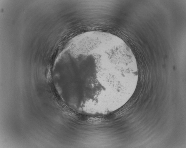 X0000066970699200604211907