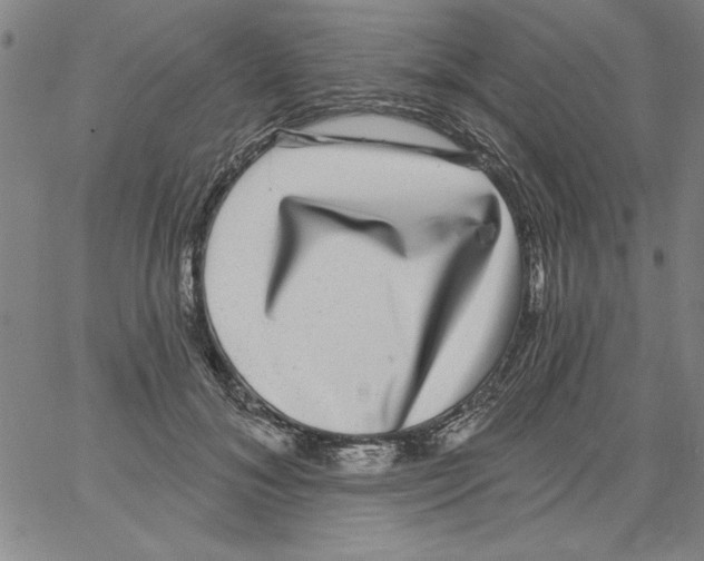 X0000066970700200604211907