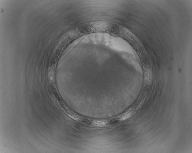 X0000066970701200604211907