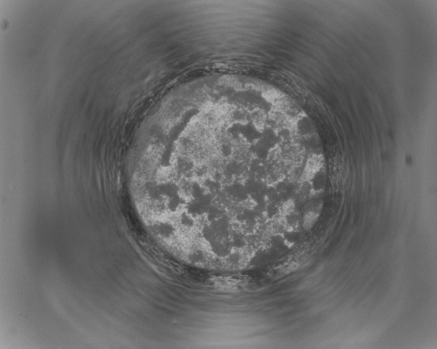 X0000066970703200604211907