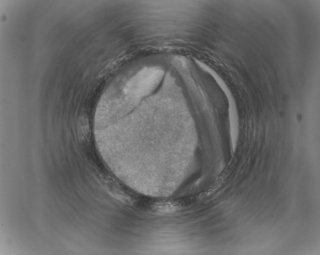 X0000066970704200604211907