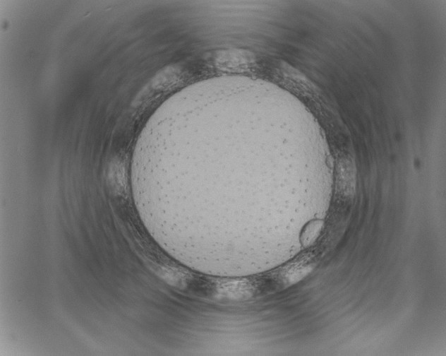 X0000066970705200604211906