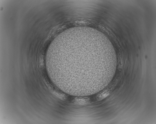 X0000066970706200604211906