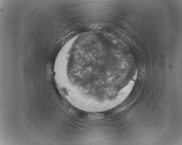 X0000066970707200604211906