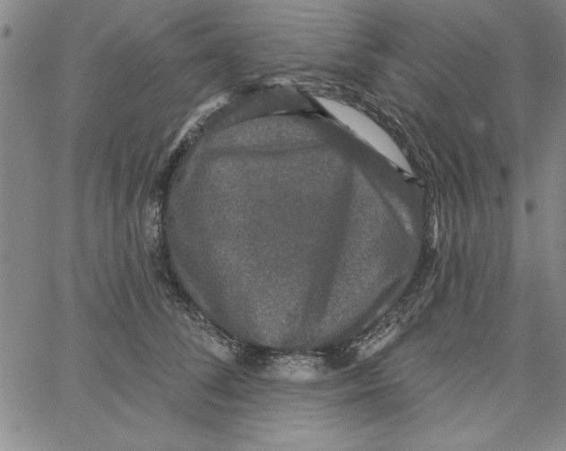 X0000066970708200604211906