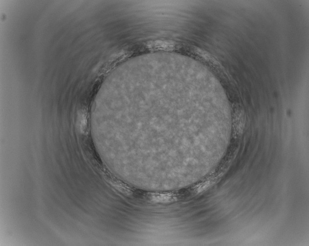 X0000066970709200604211906