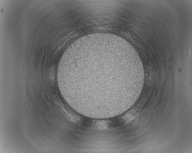 X0000066970710200604211906