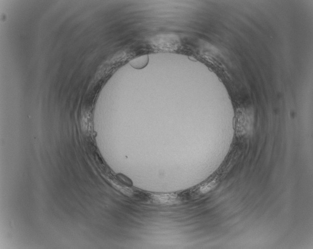 X0000066970713200604211906