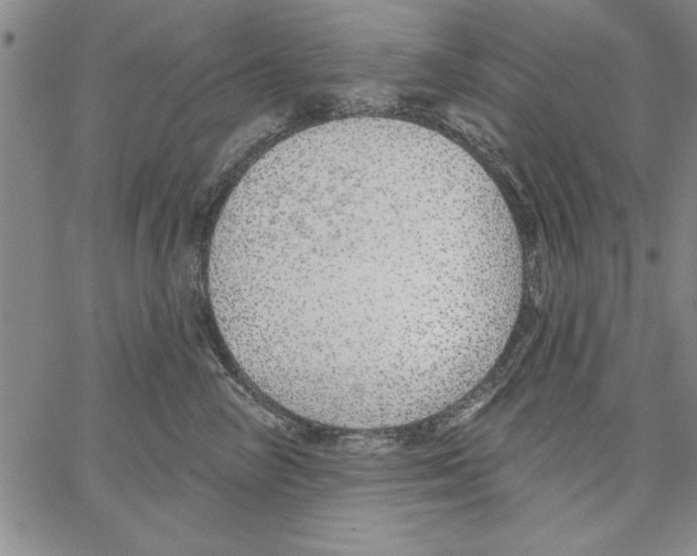 X0000066970714200604211906