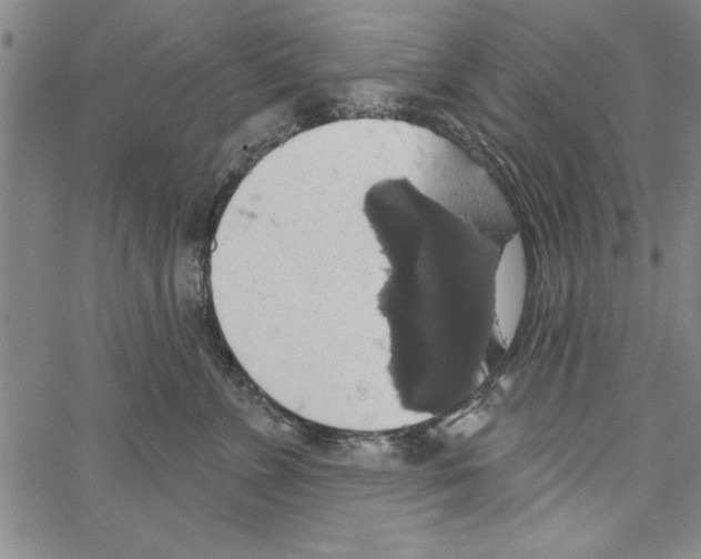 X0000066970715200604211906