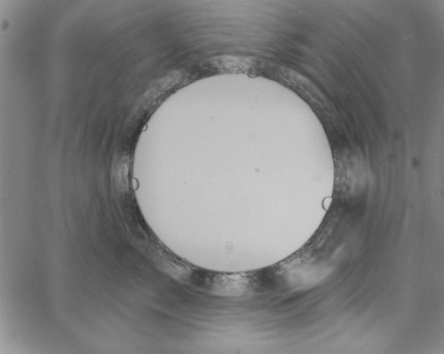 X0000066970717200604211906