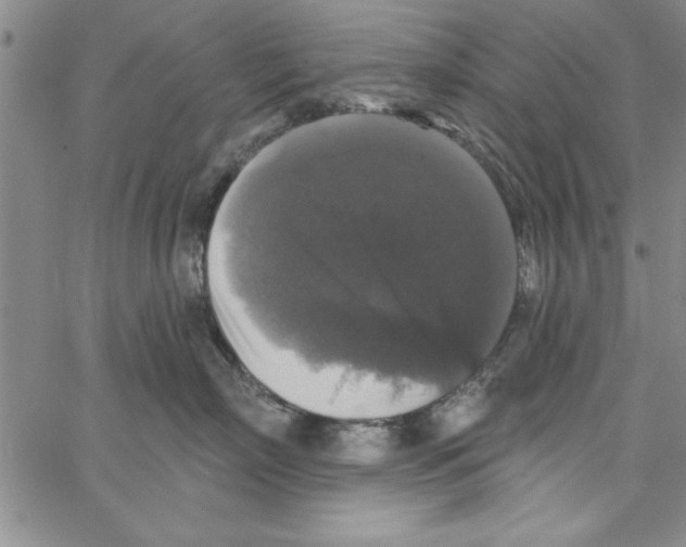 X0000066970718200604211906