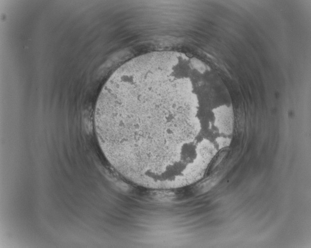 X0000066970719200604211906