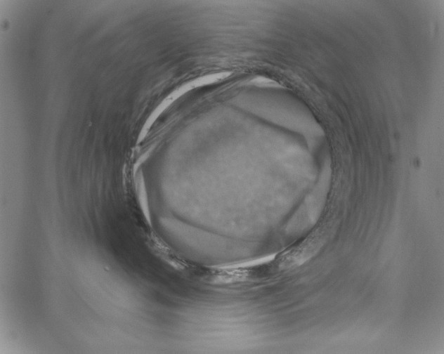 X0000066970720200604211906