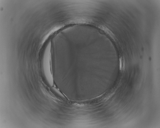 X0000066970723200604211905