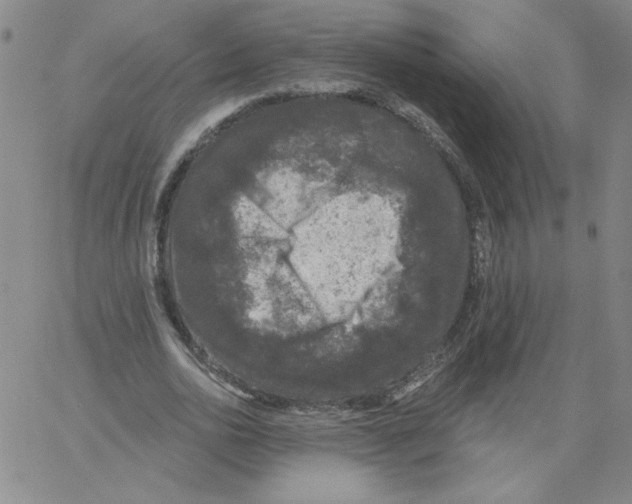 X0000066970726200604211906