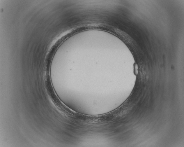 X0000066970728200604211906