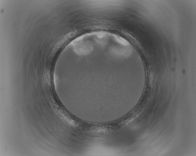 X0000066970729200604211906