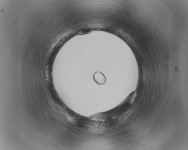 X0000066970731200604211906