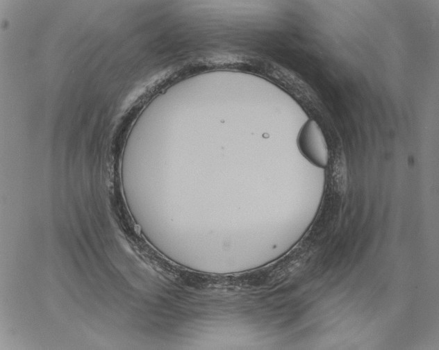 X0000066970732200604211906