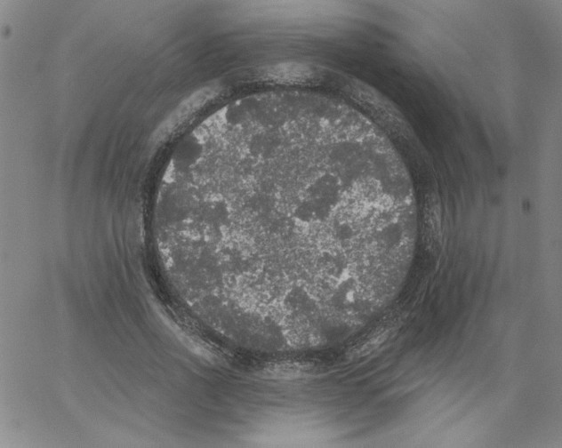 X0000066970734200604211906