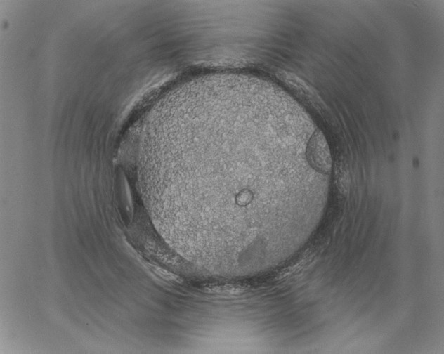 X0000066970735200604211906