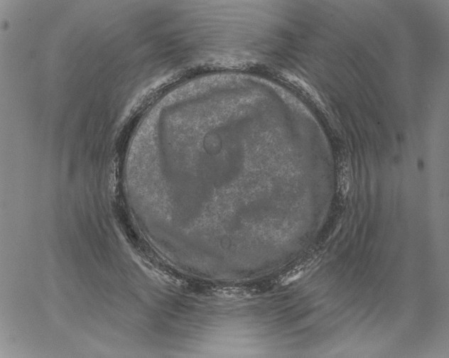 X0000066970736200604211906