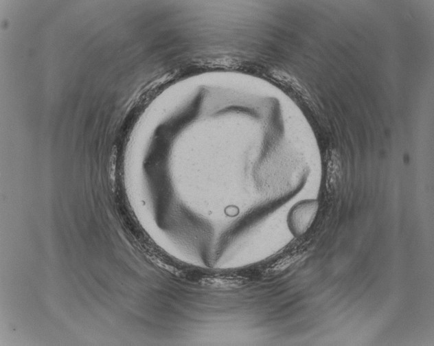 X0000066970739200604211906