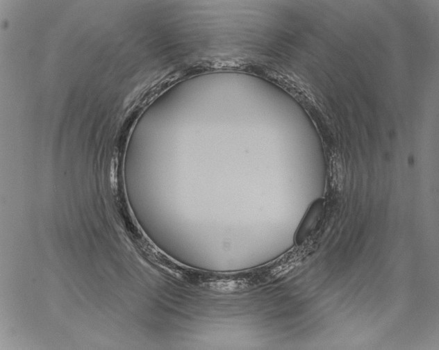 X0000066970740200604211906